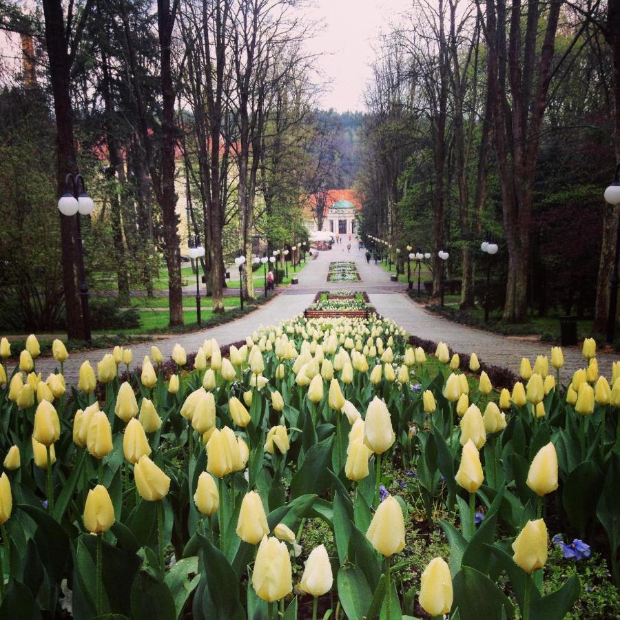 Villa Filmowiec Поляниця-Здруй Екстер'єр фото