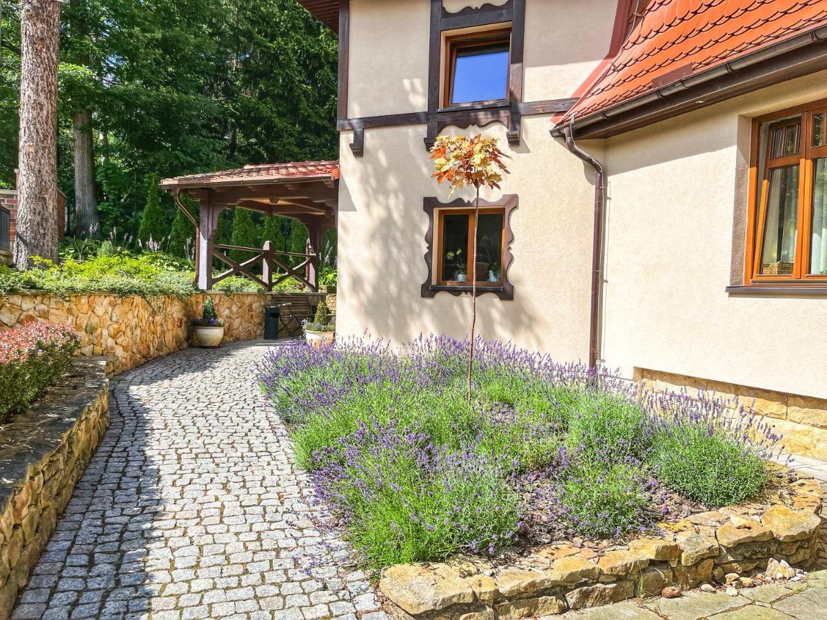 Villa Filmowiec Поляниця-Здруй Екстер'єр фото